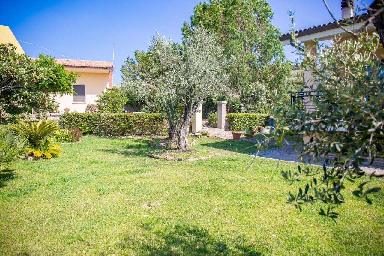 Bed and Breakfast Il Giardino Degli Ulivi Santa Maria Exteriér fotografie